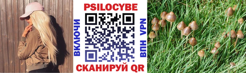 где купить наркоту kraken ТОР Псилоцибиновые грибы MAGIC MUSHROOMS Новоалександровск